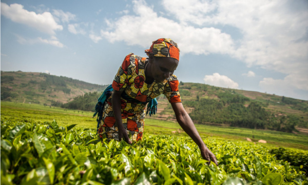 Togo-économie : La croissance a explosé, atteignant 17,7 % au quatrième trimestre de 2024