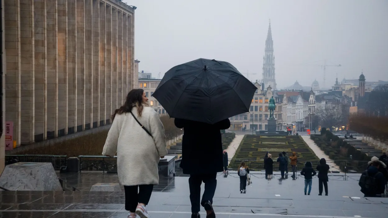 Bruxelles secouée par la tempête Amy : arbres déracinés, inondations et chaos temporaire